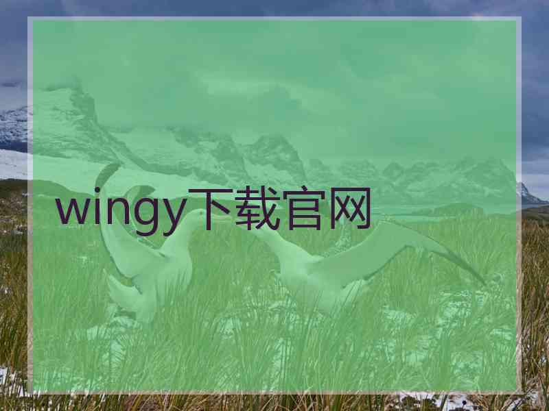 wingy下载官网