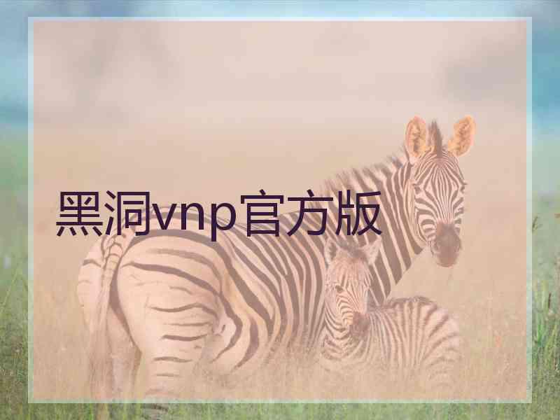 黑洞vnp官方版