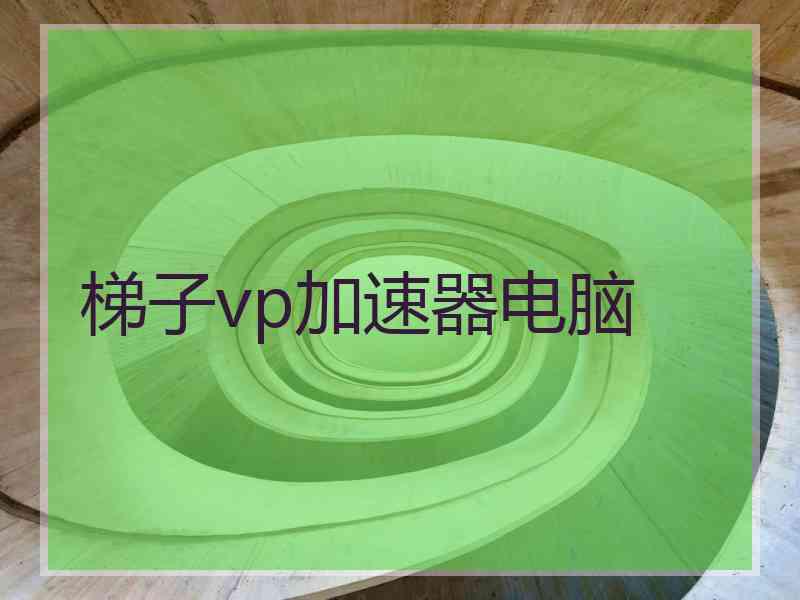 梯子vp加速器电脑