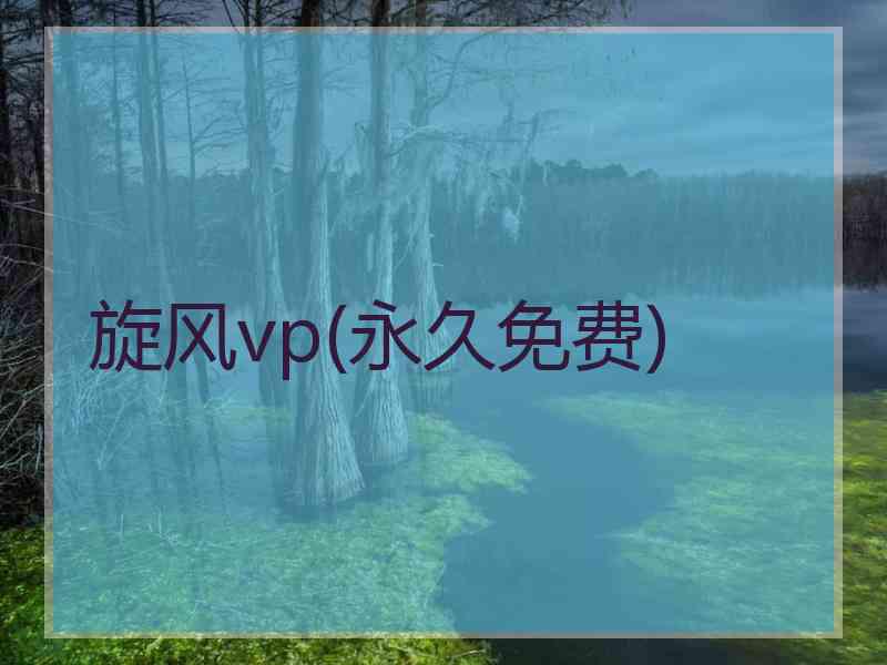 旋风vp(永久免费)