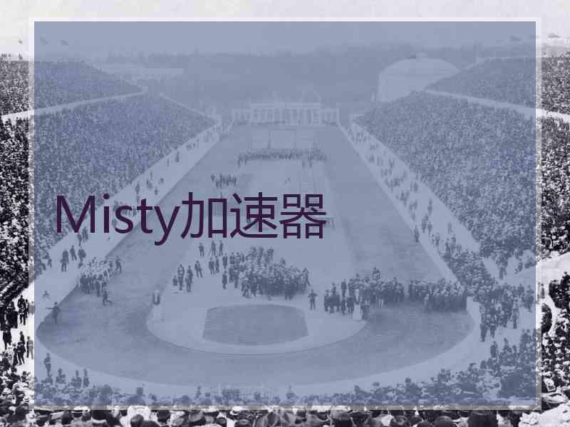 Misty加速器