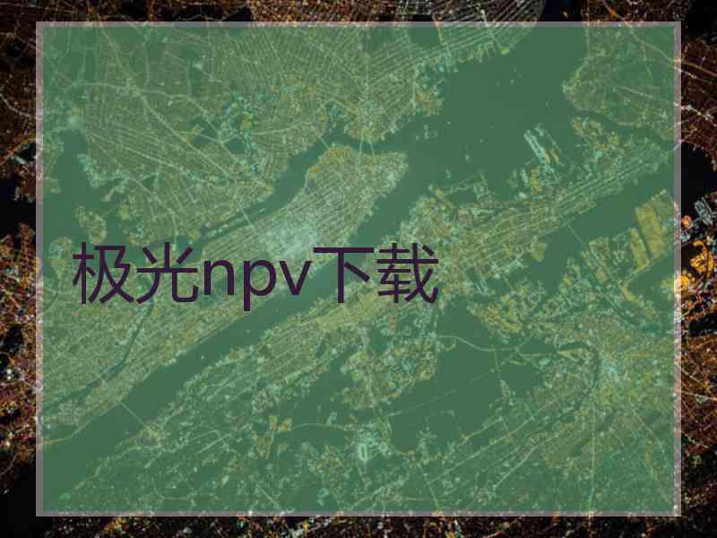 极光npv下载