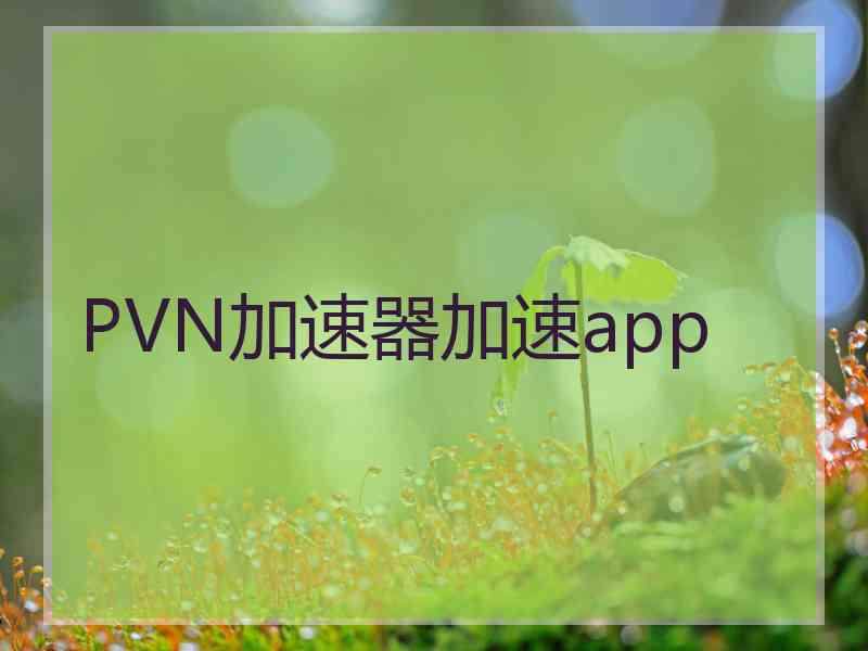 PVN加速器加速app