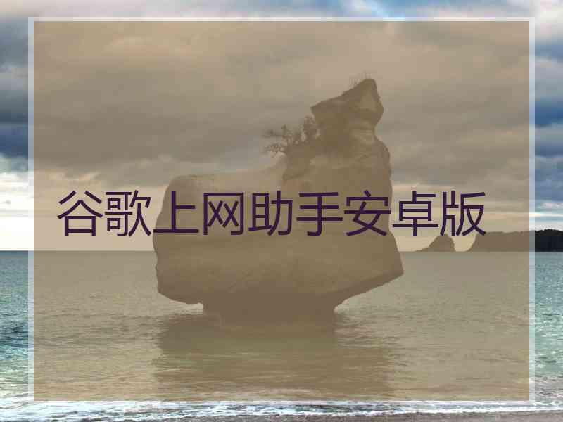 谷歌上网助手安卓版