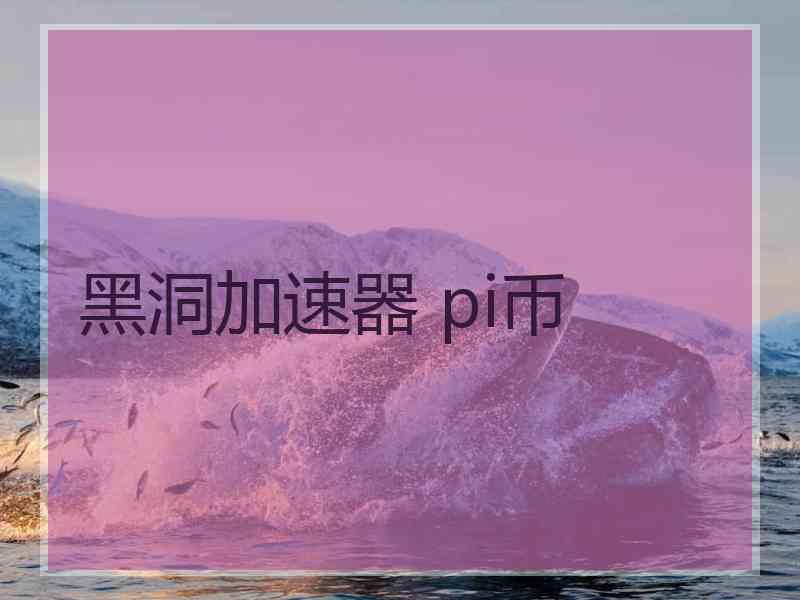 黑洞加速器 pi币