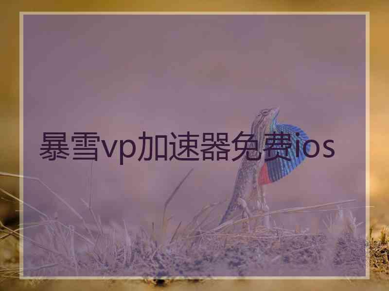 暴雪vp加速器免费ios