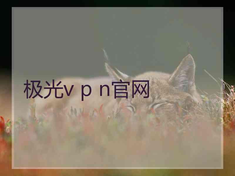 极光v p n官网