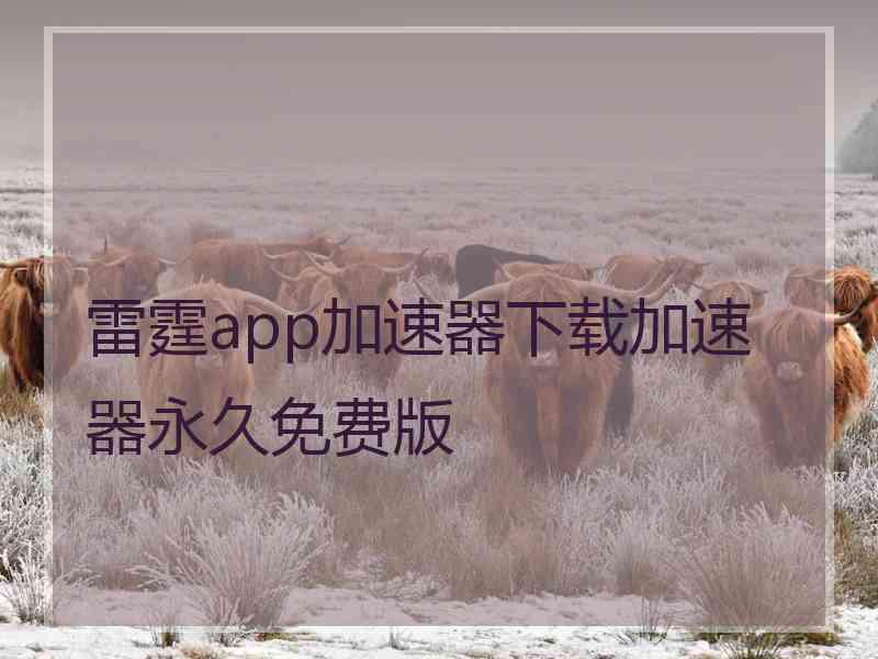 雷霆app加速器下载加速器永久免费版