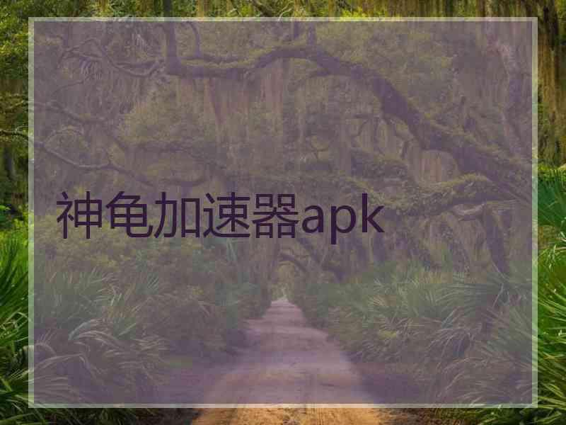 神龟加速器apk