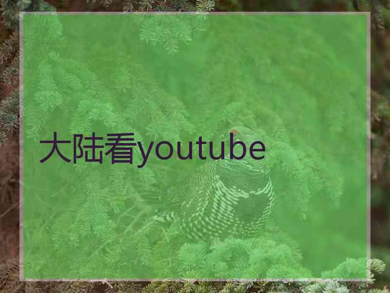 大陆看youtube