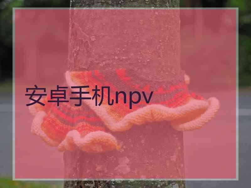 安卓手机npv