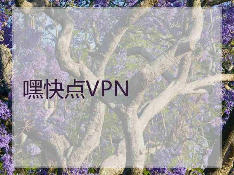 嘿快点VPN