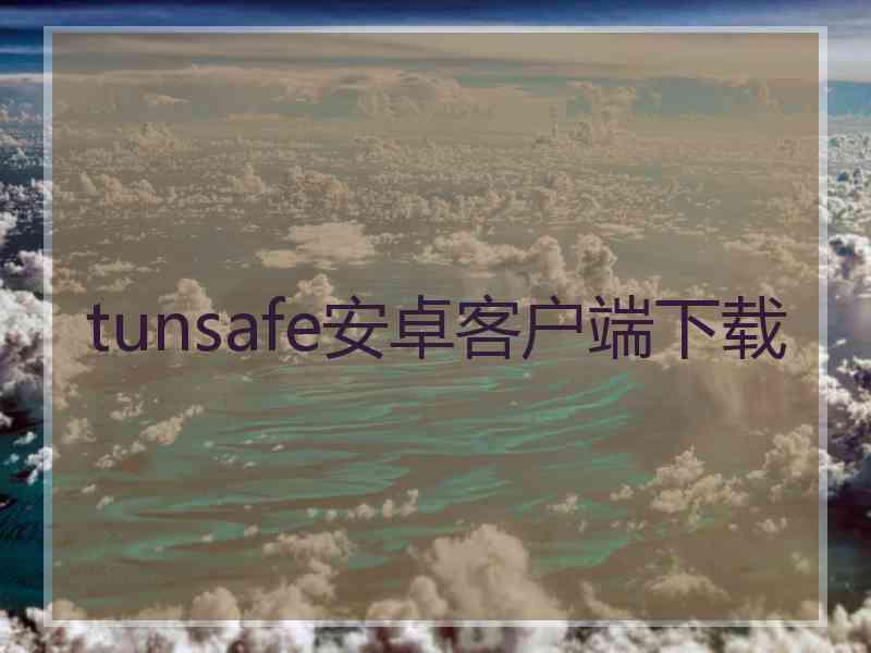 tunsafe安卓客户端下载