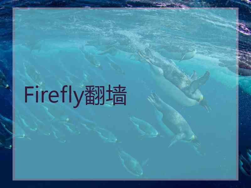 Firefly翻墙