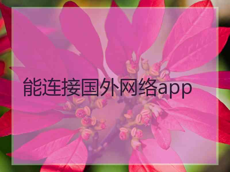 能连接国外网络app