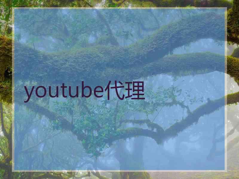 youtube代理